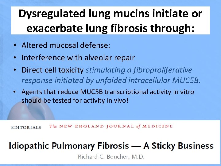 Dysregulated lung mucins initiate or exacerbate lung fibrosis through: • Altered mucosal defense; •