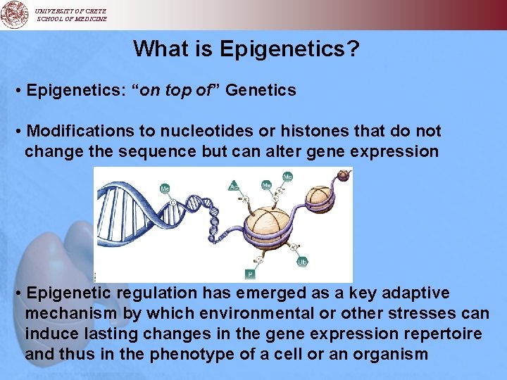UNIVERSITY OF CRETE SCHOOL OF MEDICINE What is Epigenetics? • Epigenetics: “on top of”