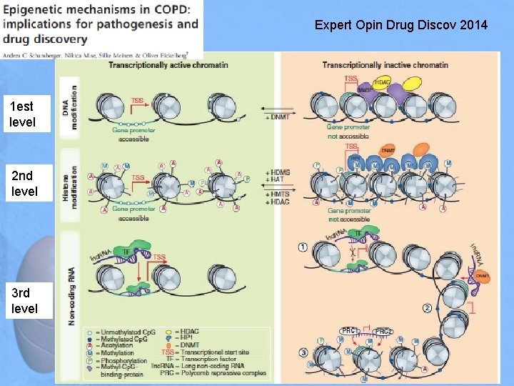 Expert Opin Drug Discov 2014 1 est level 2 nd level 3 rd level