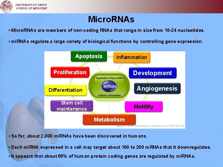 UNIVERSITY OF CRETE SCHOOL OF MEDICINE Micro. RNAs • Micro. RNAs are members of