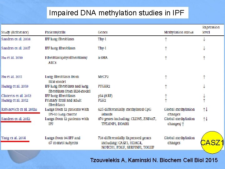 Impaired DNA methylation studies in IPF CASZ 1 Tzouvelekis A, Kaminski N. Biochem Cell