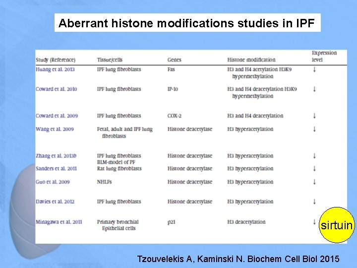 Aberrant histone modifications studies in IPF sirtuin Tzouvelekis A, Kaminski N. Biochem Cell Biol