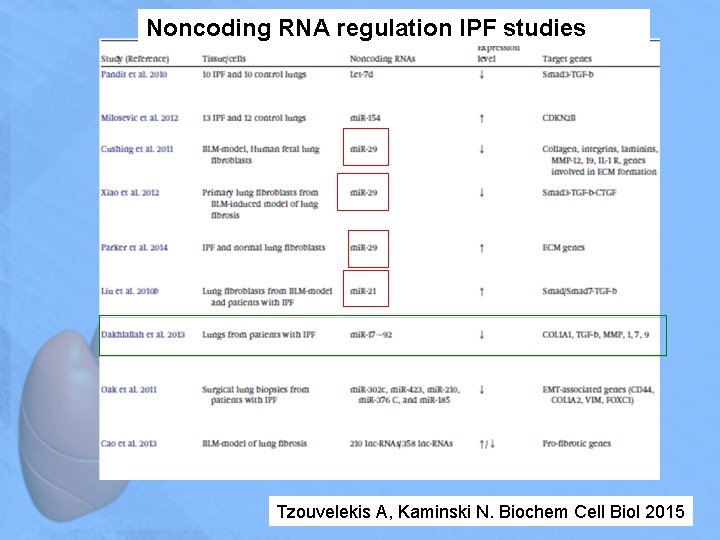 Noncoding RNA regulation IPF studies Tzouvelekis A, Kaminski N. Biochem Cell Biol 2015 