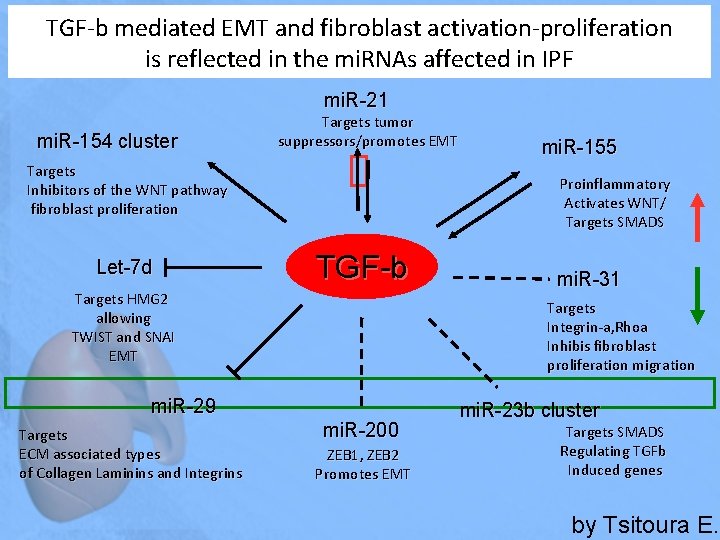 TGF-b mediated EMT and fibroblast activation-proliferation is reflected in the mi. RNAs affected in