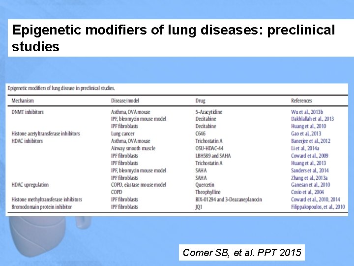 Epigenetic modifiers of lung diseases: preclinical studies Comer SB, et al. PPT 2015 