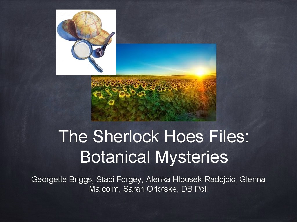 The Sherlock Hoes Files: Botanical Mysteries Georgette Briggs, Staci Forgey, Alenka Hlousek-Radojcic, Glenna Malcolm,