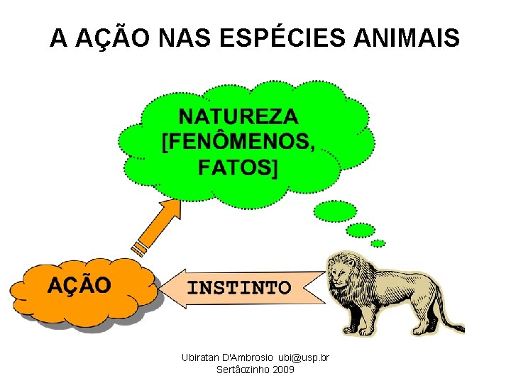 A AÇÃO NAS ESPÉCIES ANIMAIS Ubiratan D'Ambrosio ubi@usp. br Sertãozinho 2009 