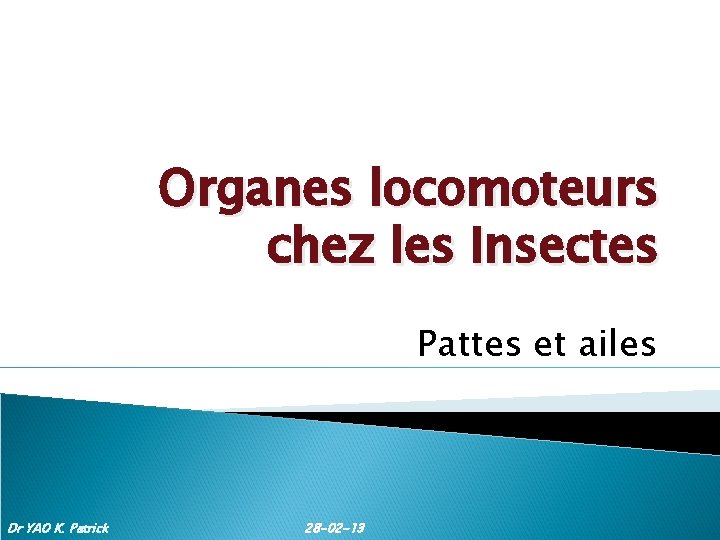 Organes locomoteurs chez les Insectes Pattes et ailes Dr YAO K. Patrick 28 -02