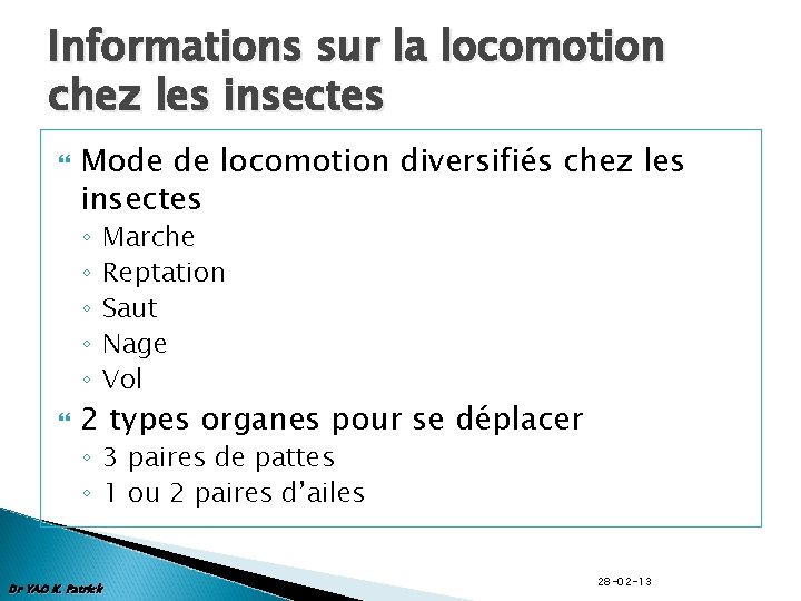 Informations sur la locomotion chez les insectes Mode de locomotion diversifiés chez les insectes