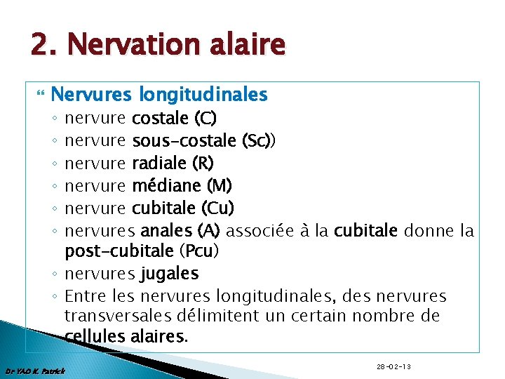 2. Nervation alaire Nervures longitudinales nervure costale (C) nervure sous-costale (Sc)) nervure radiale (R)