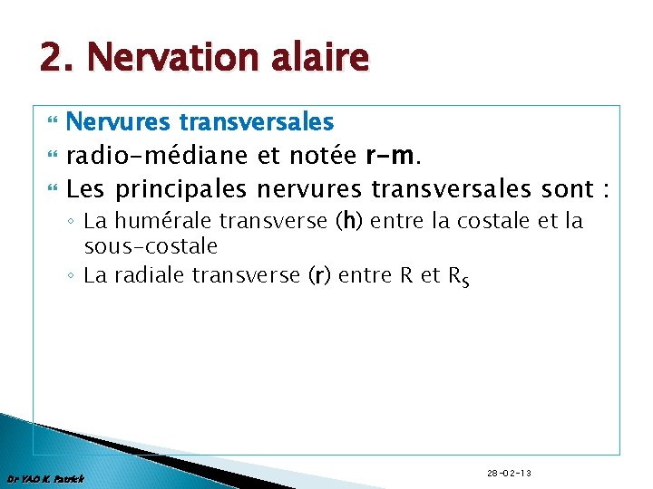 2. Nervation alaire Nervures transversales radio-médiane et notée r-m. Les principales nervures transversales sont