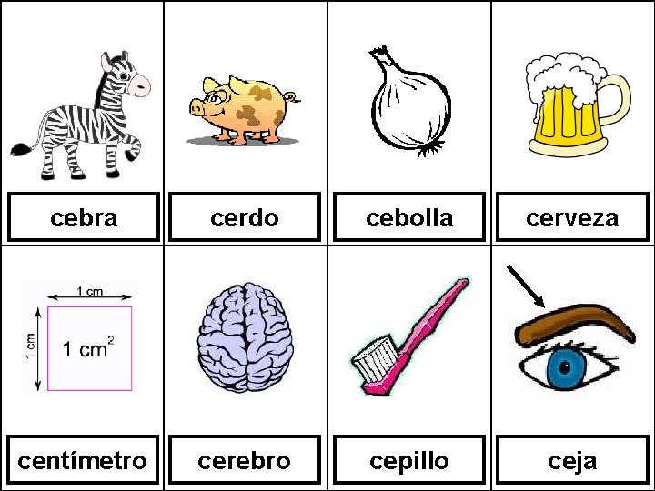 cebra cerdo cebolla cerveza centímetro cerebro cepillo ceja 