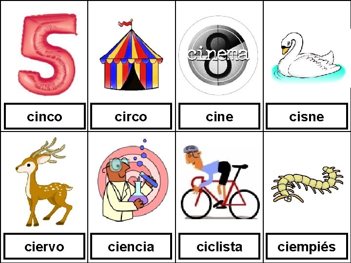cinco circo cine cisne ciervo ciencia ciclista ciempiés 