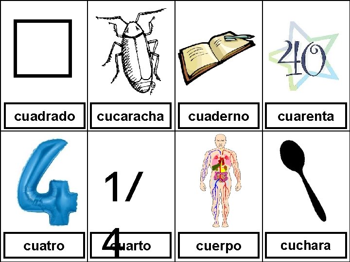 cuadrado cuatro cucaracha 1/ 4 cuarto cuaderno cuarenta cuerpo cuchara 