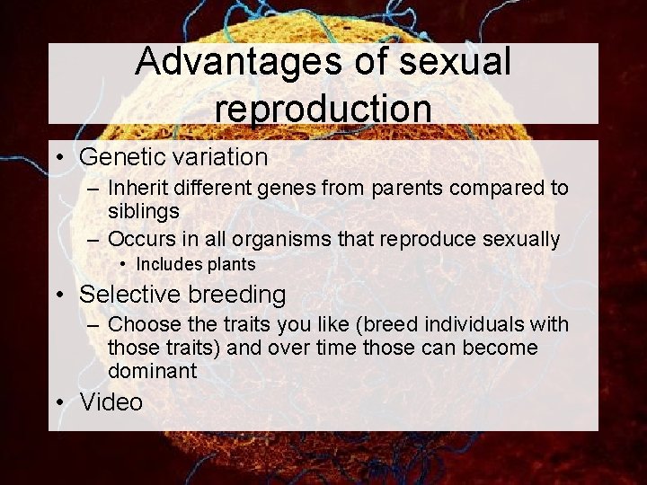 Advantages of sexual reproduction • Genetic variation – Inherit different genes from parents compared