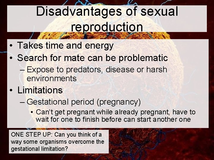 Disadvantages of sexual reproduction • Takes time and energy • Search for mate can