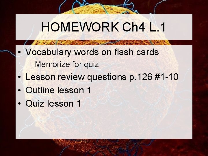 HOMEWORK Ch 4 L. 1 • Vocabulary words on flash cards – Memorize for