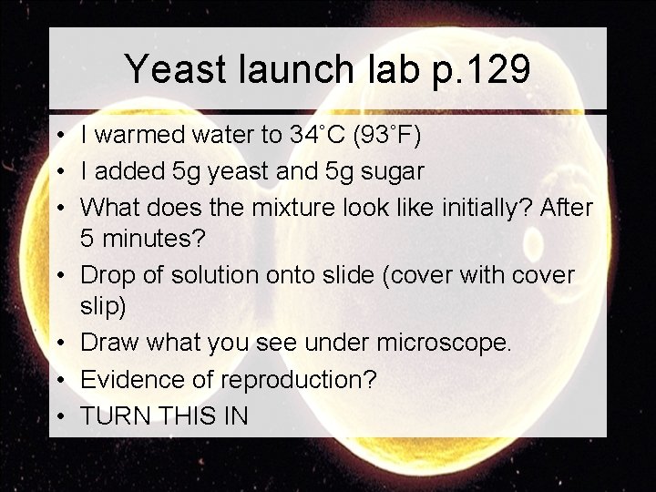 Yeast launch lab p. 129 • I warmed water to 34˚C (93˚F) • I