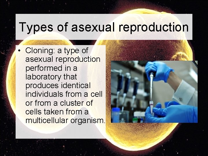 Types of asexual reproduction • Cloning: a type of asexual reproduction performed in a
