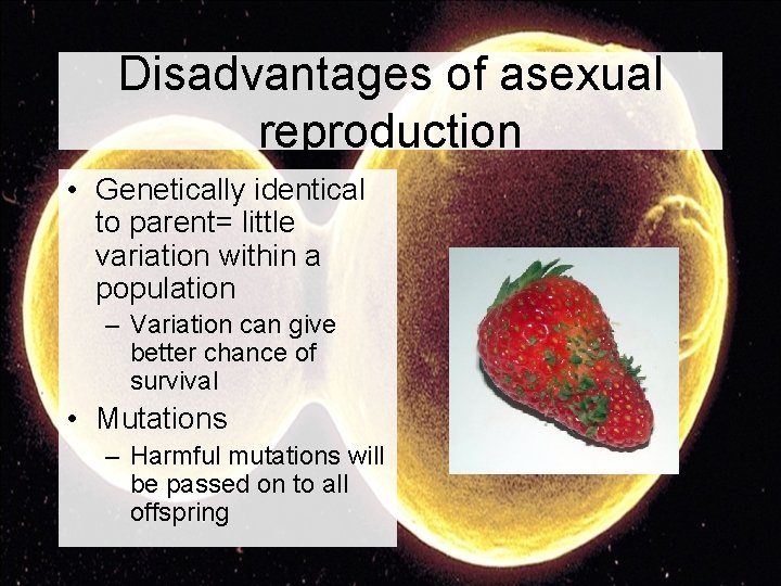 Disadvantages of asexual reproduction • Genetically identical to parent= little variation within a population