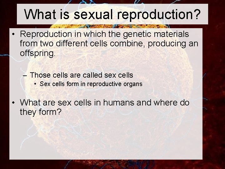 What is sexual reproduction? • Reproduction in which the genetic materials from two different