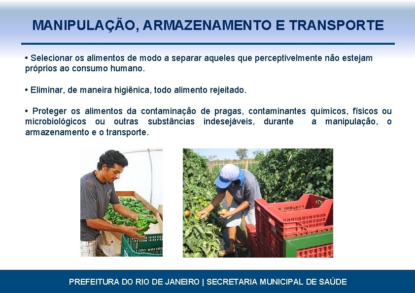 MANIPULAÇÃO, ARMAZENAMENTO E TRANSPORTE • Selecionar os alimentos de modo a separar aqueles que