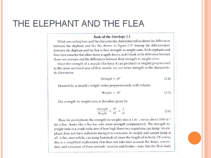 THE ELEPHANT AND THE FLEA 