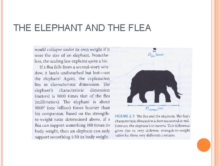 THE ELEPHANT AND THE FLEA 