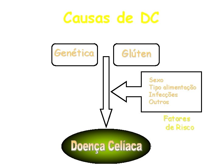 Causas de DC Genética Glúten Sexo Tipo alimentação Infecções Outros Fatores de Risco Causas de DC Genética Glúten Sexo Tipo alimentação Infecções Outros Fatores de Risco