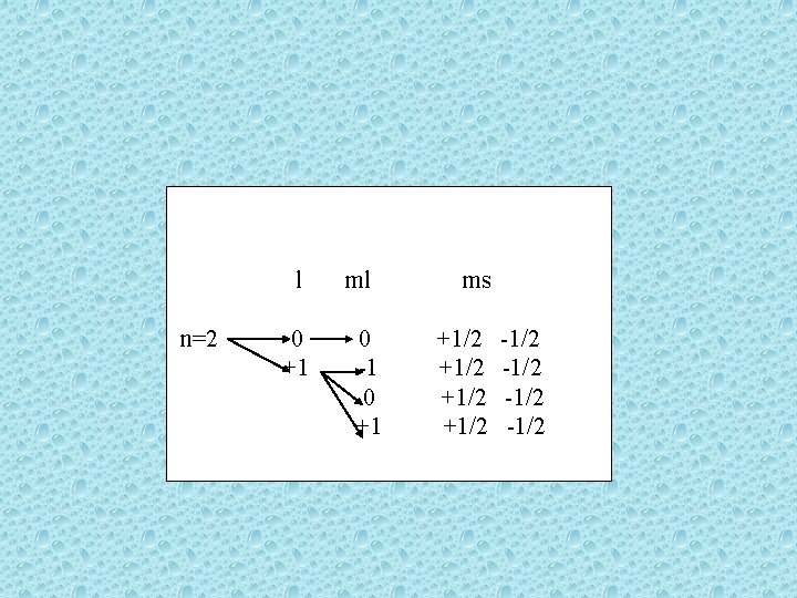 l n=2 0 +1 ml 0 -1 0 +1 ms +1/2 -1/2 