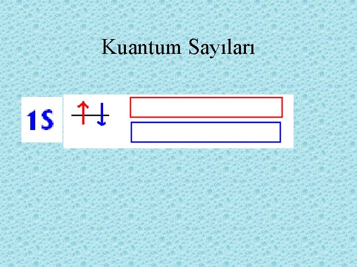 Kuantum Sayıları 