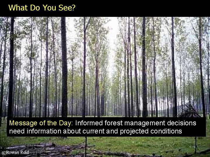 What Do You See? Message of the Day: Informed forest management decisions need information