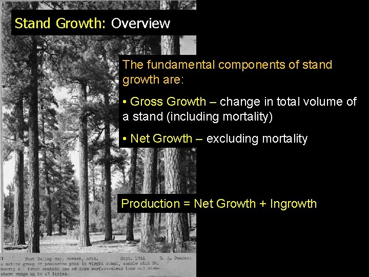 Stand Growth: Overview The fundamental components of stand growth are: • Gross Growth –