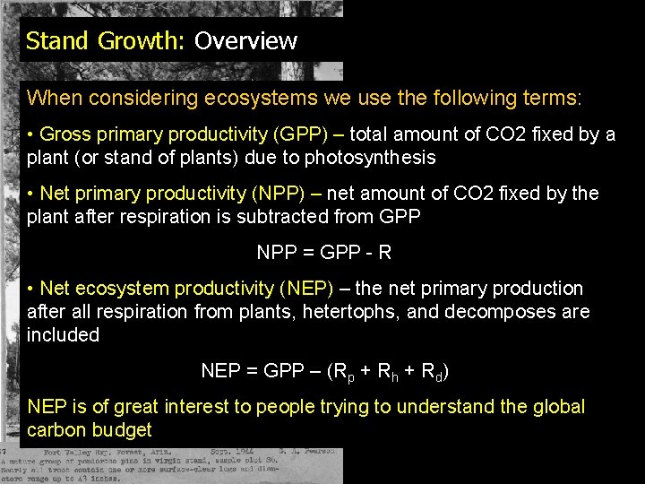 Stand Growth: Overview When considering ecosystems we use the following terms: • Gross primary