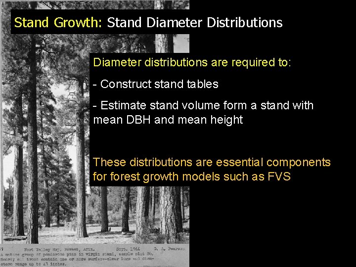 Stand Growth: Stand Diameter Distributions Diameter distributions are required to: - Construct stand tables