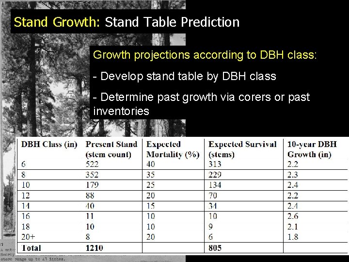 Stand Growth: Stand Table Prediction Growth projections according to DBH class: - Develop stand