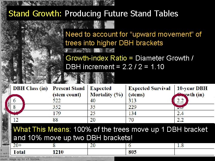Stand Growth: Producing Future Stand Tables Need to account for “upward movement” of trees