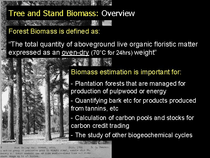 Tree and Stand Biomass: Overview Forest Biomass is defined as: “The total quantity of
