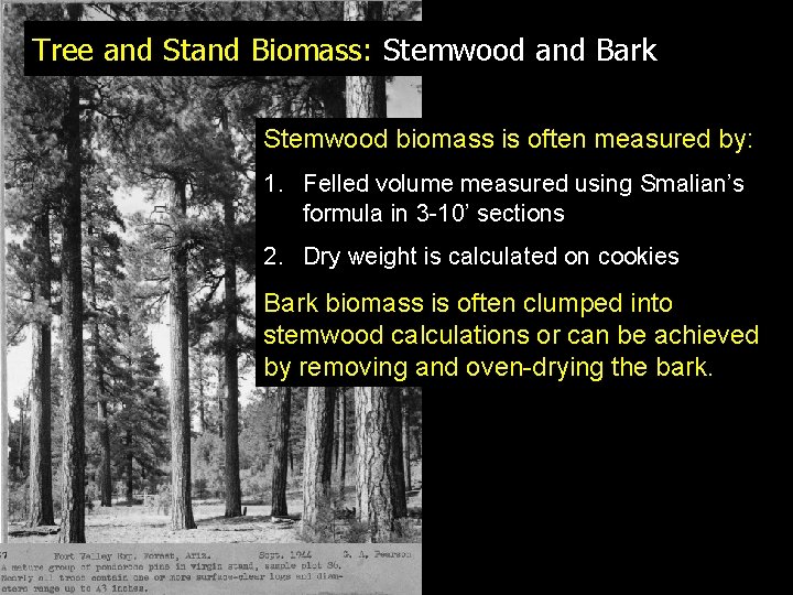 Tree and Stand Biomass: Stemwood and Bark Stemwood biomass is often measured by: 1.