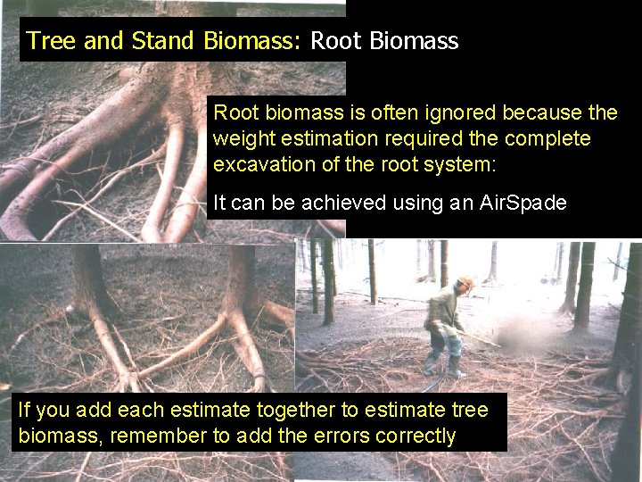 Tree and Stand Biomass: Root Biomass Root biomass is often ignored because the weight