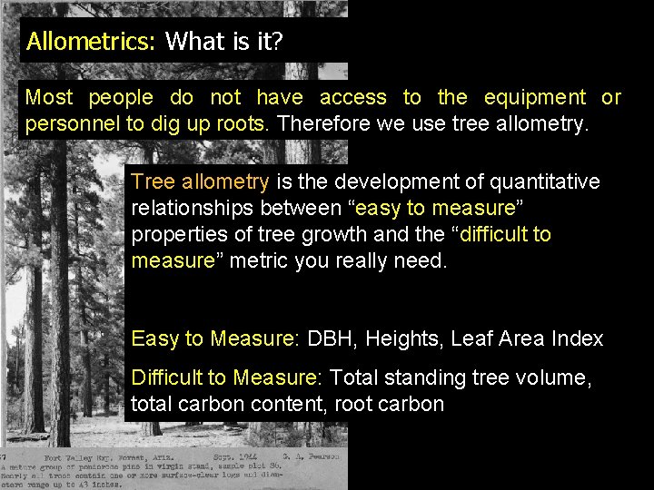 Allometrics: What is it? Most people do not have access to the equipment or