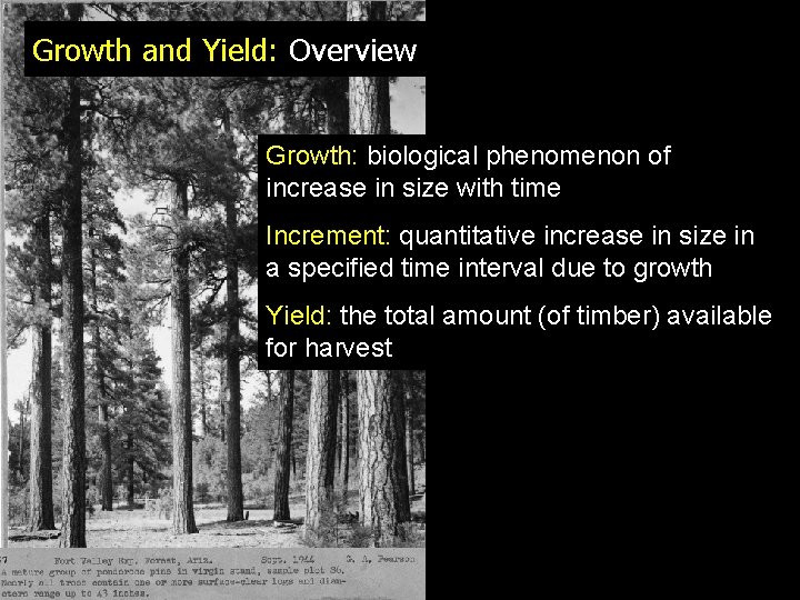 Growth and Yield: Overview Growth: biological phenomenon of increase in size with time Increment: