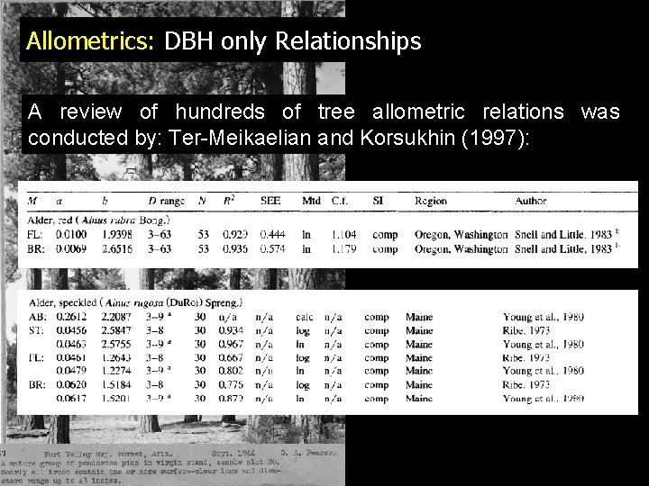 Allometrics: DBH only Relationships A review of hundreds of tree allometric relations was conducted