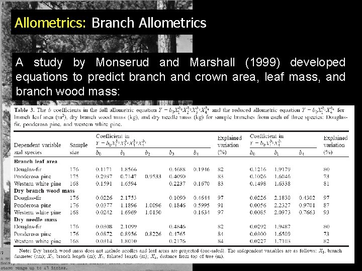 Allometrics: Branch Allometrics A study by Monserud and Marshall (1999) developed equations to predict