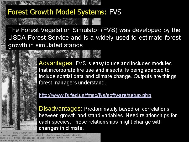 Forest Growth Model Systems: FVS The Forest Vegetation Simulator (FVS) was developed by the
