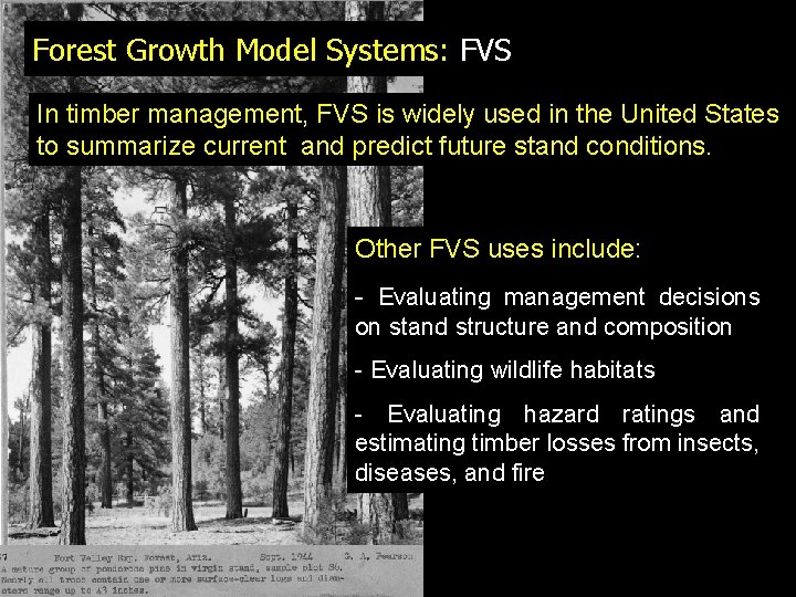 Forest Growth Model Systems: FVS In timber management, FVS is widely used in the