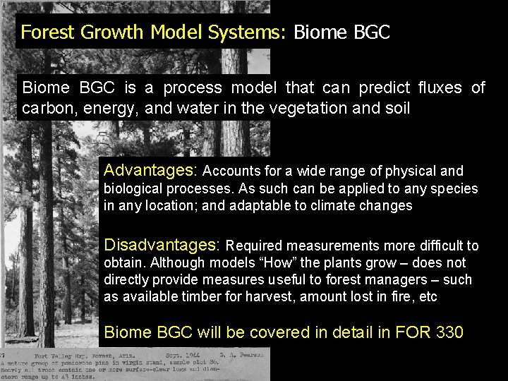 Forest Growth Model Systems: Biome BGC is a process model that can predict fluxes