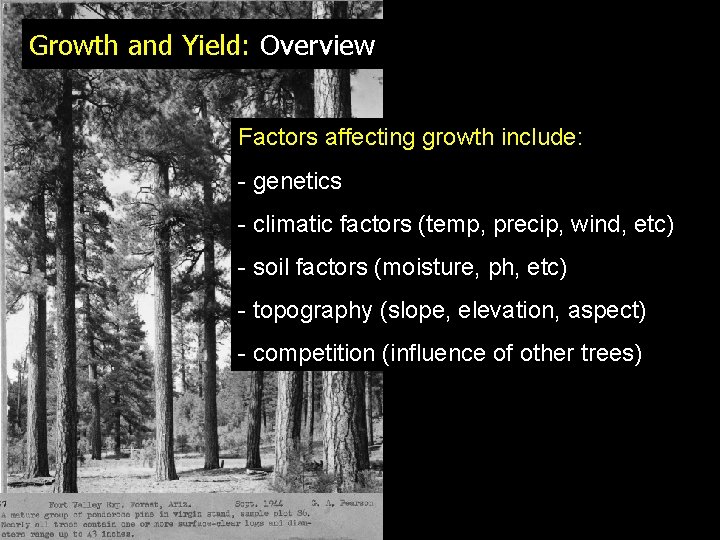 Growth and Yield: Overview Factors affecting growth include: - genetics - climatic factors (temp,