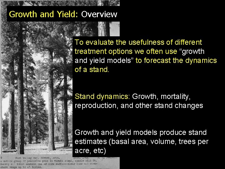 Growth and Yield: Overview To evaluate the usefulness of different treatment options we often