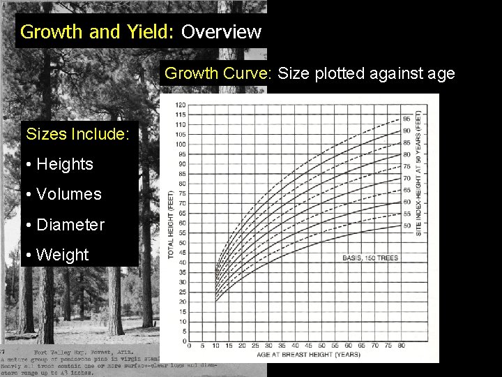 Growth and Yield: Overview Growth Curve: Size plotted against age Sizes Include: • Heights